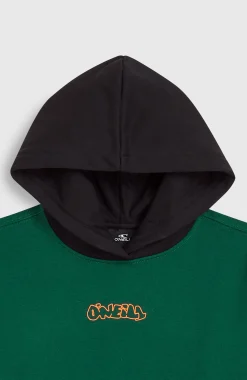 EnfantsSweat à capuche FWC'Play| Vert Mix