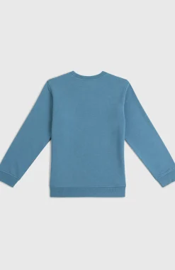 EnfantsSweatshirt à col rond Essentials| Bleu