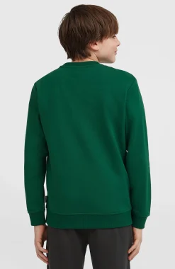EnfantsSweatshirt à col rond Essentials| Vert