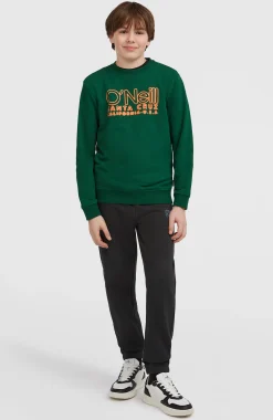 EnfantsSweatshirt à col rond Essentials| Vert