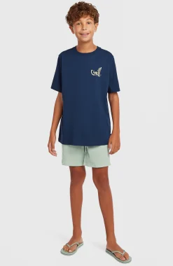 EnfantsT-shirt O'Neill Chest-Print| Bleu