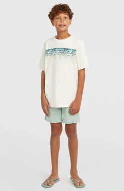 EnfantsT-shirt O'Neill Logo Stripe| Blanc