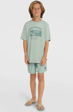 EnfantsT-shirt O'Neill Muir| Vert