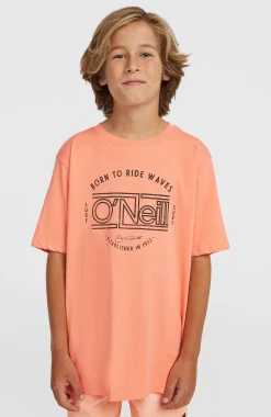 EnfantsT-shirt O'Neill Muir| Orange