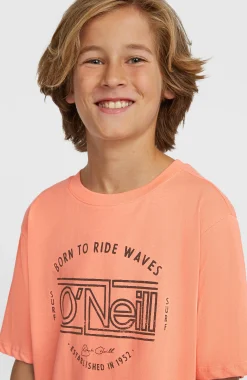 EnfantsT-shirt O'Neill Muir| Orange