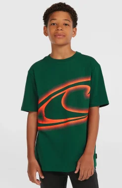 EnfantsT-shirt O'Neill Wave| Vert