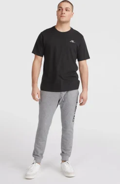 HommesPantalon de survêtement O'Neill Logo| Gris