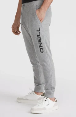 HommesPantalon de survêtement O'Neill Logo| Gris