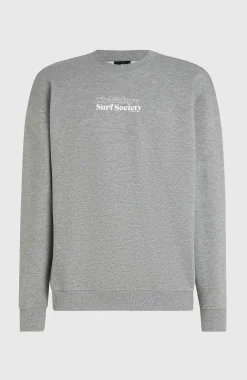 HommesPull Future Surf Society Crew| Gris