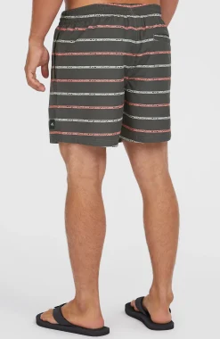 HommesShort de bain Cali First 15''| Gris