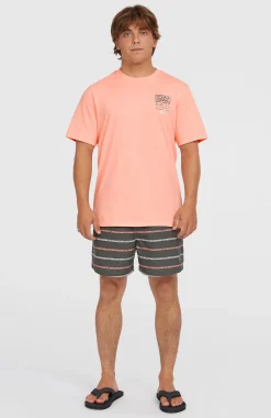 HommesShort de bain Cali First 15''| Gris
