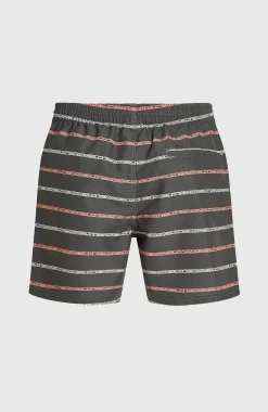 HommesShort de bain Cali First 15''| Gris