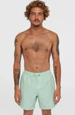 HommesShort de bain Cali 16''| Vert