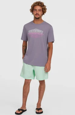 HommesShort de bain Cali 16''| Vert