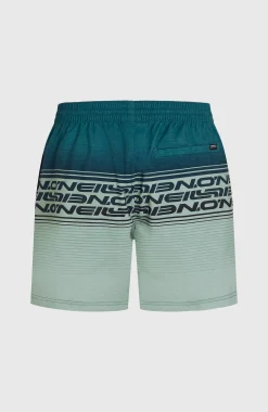 HommesShort de bain Logo Stripe 16''|