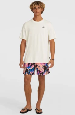 HommesShort de bain O'Neill Print 16| Noire