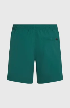 HommesShort de bain O'Neill Vert 16''| Vert