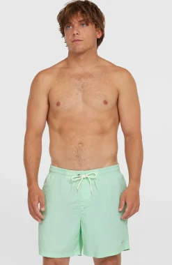 HommesShort de bain O'Neill Vert 16''| Vert
