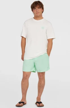 HommesShort de bain O'Neill Vert 16''| Vert