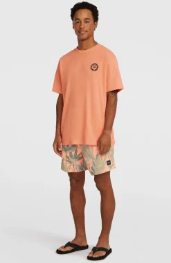 HommesShort de bain O'Neill Print 16| Orange