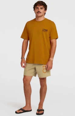 HommesShort de bain O'Neill Cali 16''| Beige