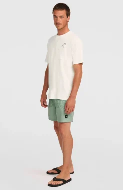 HommesShort de bain O'Neill Uni Flower 16''| Vert Mix