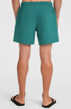 HommesShort de bain O'Neill Logo 16''| Vert