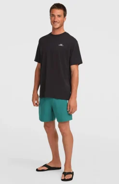 HommesShort de bain O'Neill Logo 16''| Vert