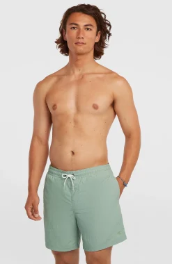HommesShort de bain O'Neill Vert 16''| Vert