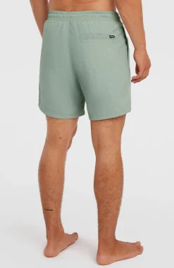HommesShort de bain O'Neill Vert 16''| Vert