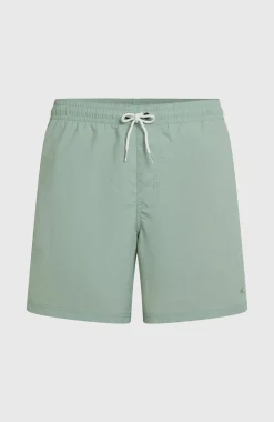 HommesShort de bain O'Neill Vert 16''| Vert