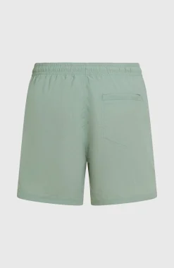 HommesShort de bain O'Neill Vert 16''| Vert