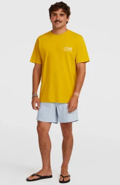 HommesShort de bain O'Neill Cali 16''| Bleu