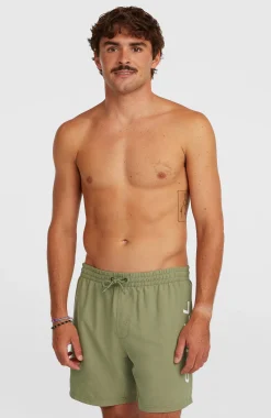 HommesShort de bain O'Neill Logo 16''| Vert
