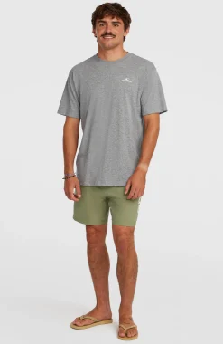 HommesShort de bain O'Neill Logo 16''| Vert