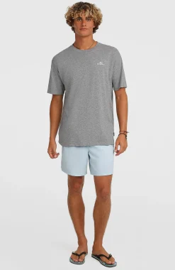 HommesShort de bain O'Neill Vert 16''| Bleu