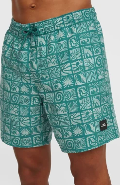 HommesShort de bain O'Neill Print 16| Bleu