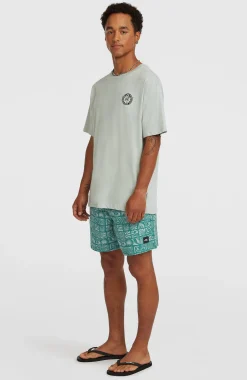 HommesShort de bain O'Neill Print 16| Bleu