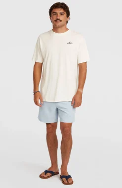 HommesShort de bain O'Neill Logo 16''| Bleu