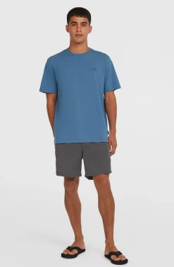 HommesShort de bain O'Neill Vert 16''| Gris