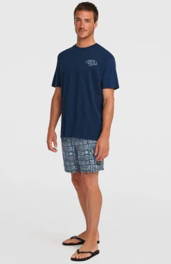 HommesShort de bain O'Neill Print 16| Bleu Mix