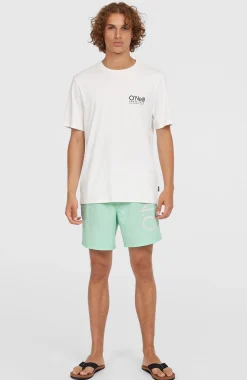 HommesShort de bain Original Cali 16''| Vert