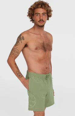 HommesShort de bain O'Riginals Cali Ocean 16''| Vert