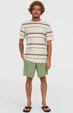 HommesShort de bain O'Riginals Cali Ocean 16''| Vert