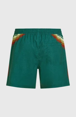HommesShort de bain O'Riginals Longboard 15| Vert Mix