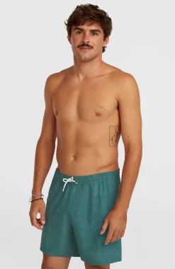 HommesShort de bain O'Riginals Cali Ocean 16''| Vert