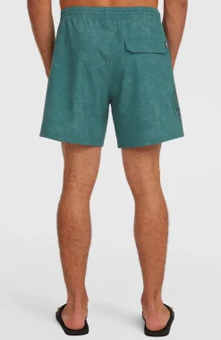 HommesShort de bain O'Riginals Cali Ocean 16''| Vert