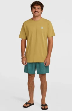 HommesShort de bain O'Riginals Cali Ocean 16''| Vert