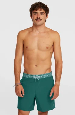 HommesShort de bain Pocket Print 16| Vert