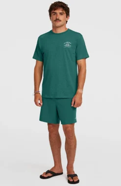 HommesShort de bain Pocket Print 16| Vert